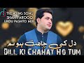 Dill ki chahat ho tum shah farooq new urdu pashto mix song 2023 pashto new song 2023