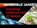 japan top five technology || new innovation of japan || japan best network marking in the world