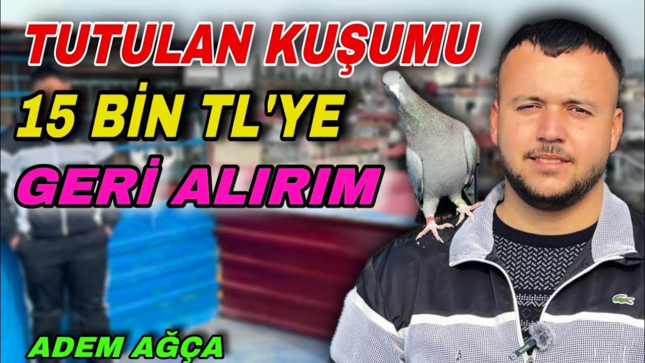KUŞUMU GETİR 15 BİN TL’Yİ AL - ADANA BATARLI GÜVERCİN ÜRETİCİSİ ADEM AĞÇA