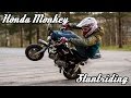 Honda monkey stuntriding 1000 sub special