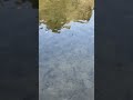 Who loves Fishing 🎣? Let’s go catch some fish 🐟🐠 #shortsfeed #shortvideos #viralshorts