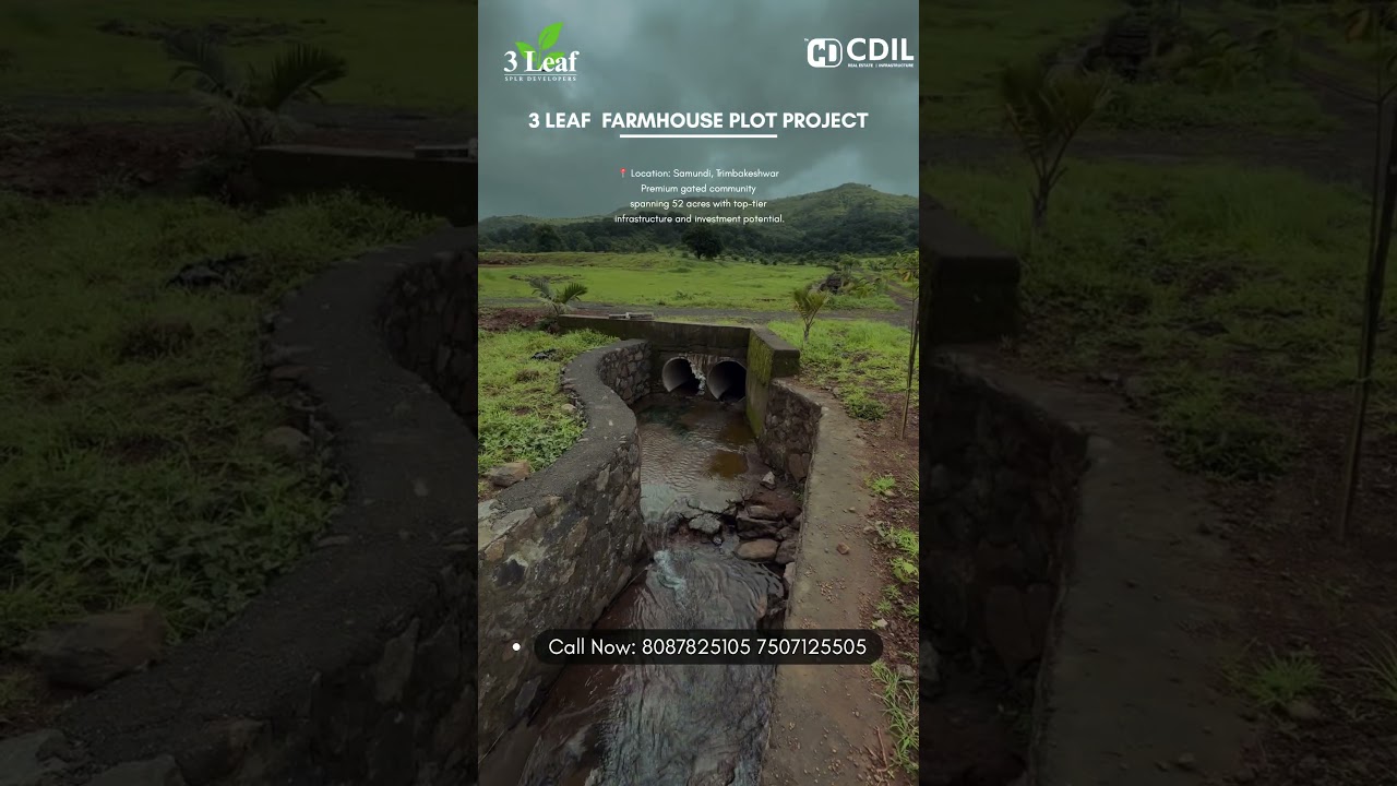 ⏳ Smart Plots. Fast Moves. Limited Inventory.