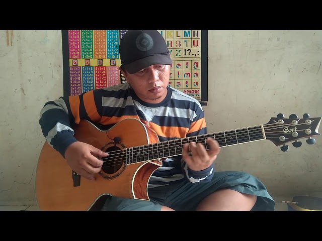 Hide and Seek / ding dong (fingerstyle cover) class=