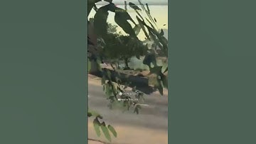 Nasty QuickScope On Helpless Guy On Edge Of Zone In Warzone 2.0..😳😝 #warzone2 #mw2