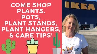 come shop IKEA plants, pots, plants stands, plant hangers with MOODY BLOOMS