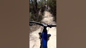 My second attempt Moonscape Alafia River State Park #Moonscape #shortvideo #shorts #mtb #florida