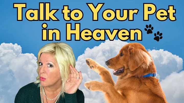 🐾 COMMUNICATE WITH YOUR PET AFTER DEATH | Messages from Pets in Heaven