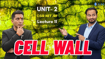 Cell Wall - Bacteria & Plant - Unit 2 - CSIR Dec 2025 | Emotion 6.0 | Lecture 11 | IFAS