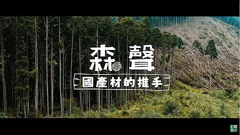 前進伐木現場 八年級生的國產材願景 - 天天要聞