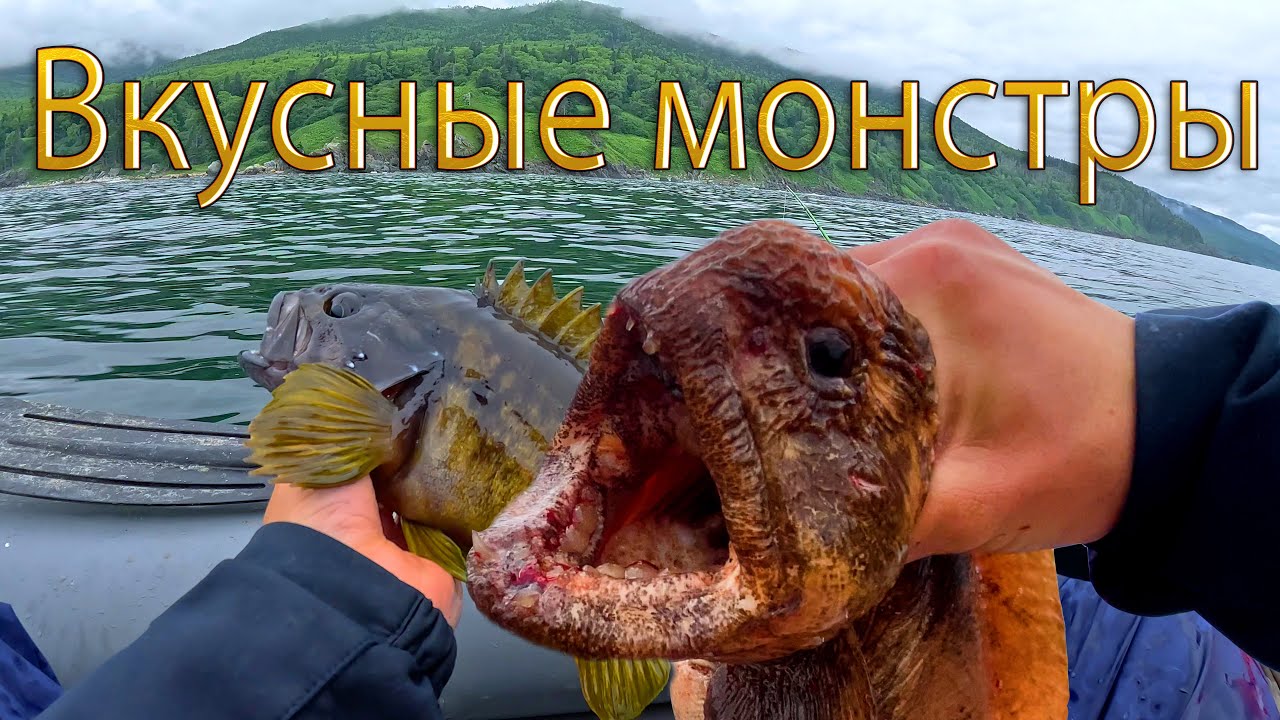 Мечта любого рыбака | Клюет как  из аквариума | Сахалин