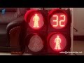 LED Pedestrian Signal with Countdown Timer