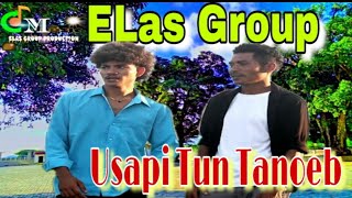 Musika Dawan // Terbaru // USAPI TUN TANOEB // Comp : ELas Group