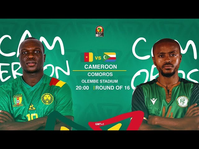 AFCON 2021: Tunísia perde para Gâmbia e enfrenta Nigéria na próxima rodada:  Mali vence Mauritânia - Esportes completos