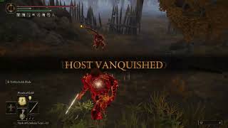 Elden Ring: This is Why You Level Up Vigor