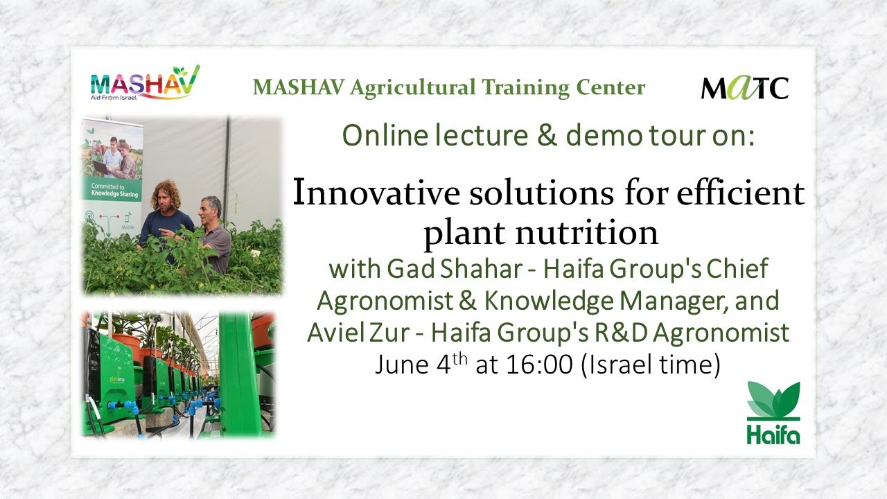 Haifa Group  Innovative Solutions for Efficient Plant Nutrition