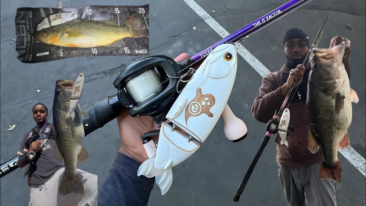 How I Fish This NEW Popular Korean Swimbait to Catch Giant Bass