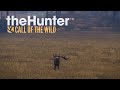 The Hunter COTW - Мои лучшие трофеи