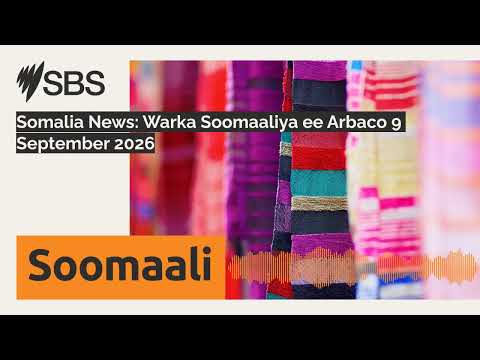 Somalia News: Warka Soomaaliya ee Arbaco 9 September 2026 | SBS Somali - SBS Afsomali