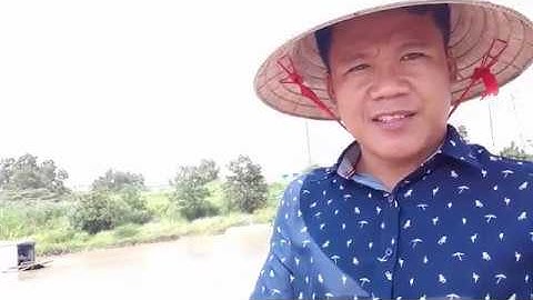 hút bùn,cận cảnh bùn trong ao chưa hút chưa sử lý và CÁI KẾT