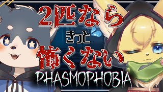 【#phasmophobia  】2匹で心霊調査！可愛いもふもふは最強なんだぞっ！【#vtuber 】#ケモノvtuber