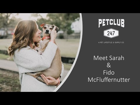 Pet Club 247