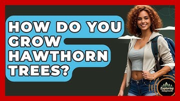 How Do You Grow Hawthorn Trees? - Exploring Campgrounds