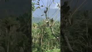 That Nostalgic Feel | #scenery #shorts #trending #viral || Hamara Ghar