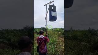 How to make a hornet trap
