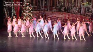 NUTCRACKER SHV 2011- Part 8.mov