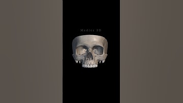Skull cranial vault 3D animation...#skull #shorts #3danatomy #anatomy