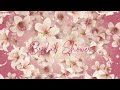 2 hour bridal shower background with music and white orchids backdrop