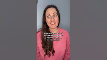 Fast Fossil Facts for Fossil Friday - pt 6 #paleontology #fossils #learn