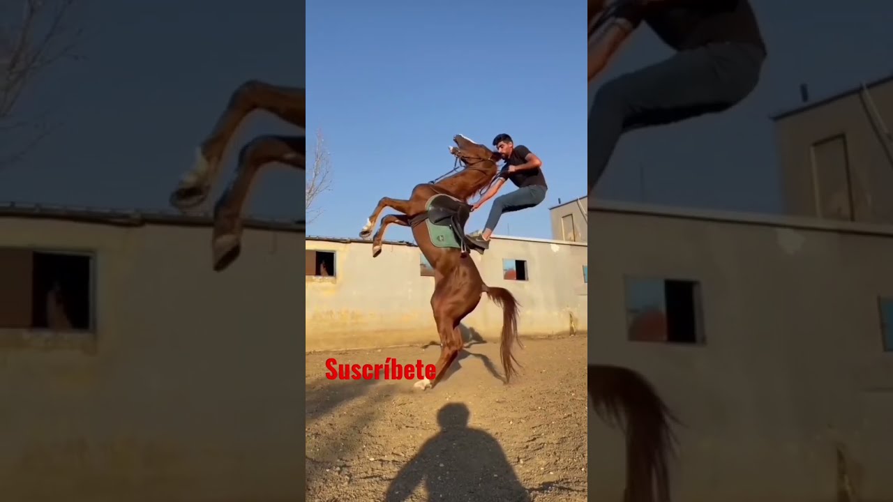 C Mo Montar Caballo Caballos Hours Genial