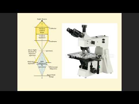 Video: Biyolojide kullanılan farklı mikroskop türleri nelerdir?