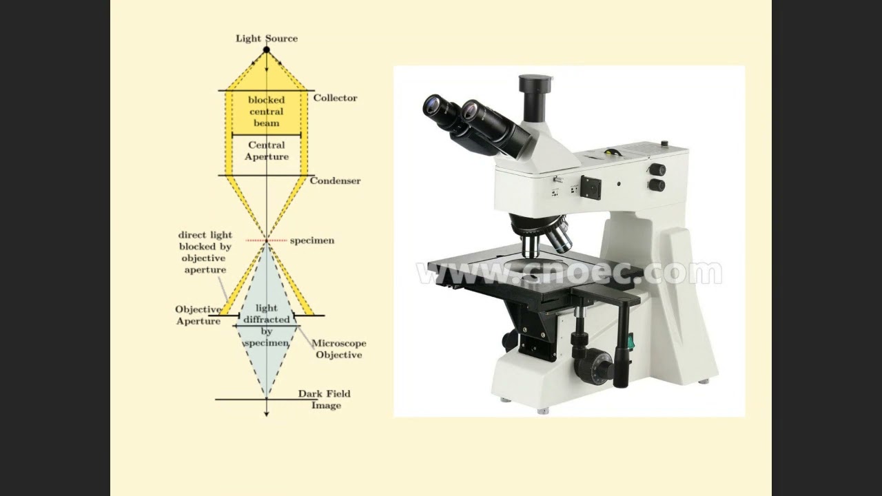 Mikroskop türleri-1 - YouTube
