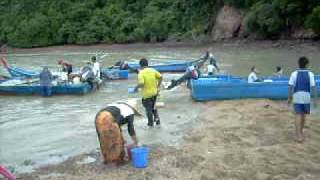 Pulau Aman Siput Bayam