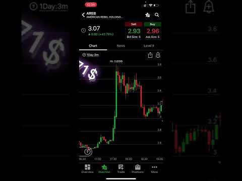 ربح يتجاوز ٤٠ في الاسهم الامريكية