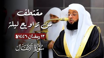 ترتيل جميل لـ#سورة_الأنفال | مقتطف من تراويح ليلة 12 رمضان 1446ه‍ | فضيلة الشيخ #بدر_التركي