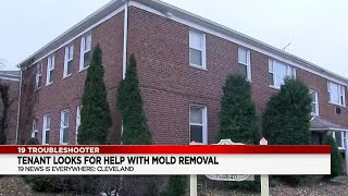 East Cleveland apartment tenant: “I can’t live here like this”