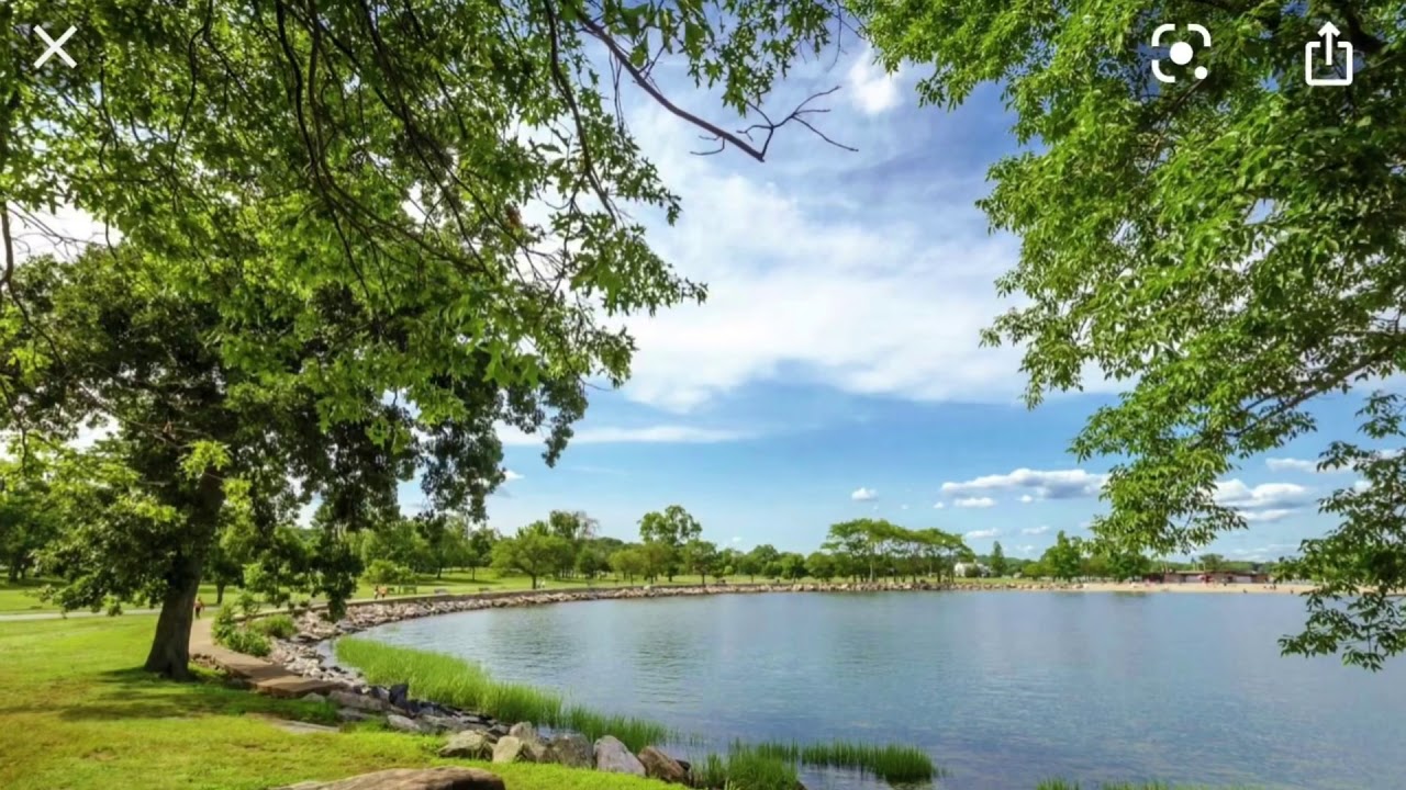 15 Albin Road YouTube