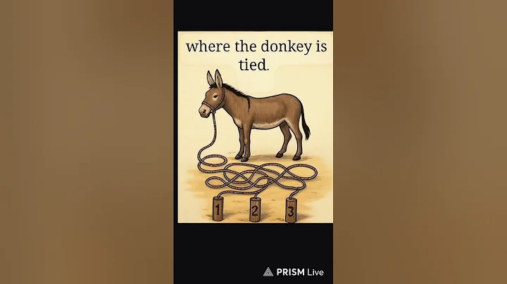 Only Genius Minds Can Solve This! 🔥 Live Maths Puzzle Game Challenge