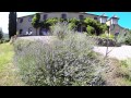 VENDUTO - Bellissimo Casolare in vendita in Toscana a Volterra, Montecatini Val di Cecina, Pisa