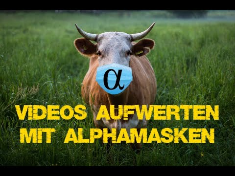 Alphamasken in Magix Video de Luxe anwenden