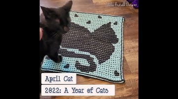 April Cat, Interlocking Crochet Pattern for large square from 2022 A Year of Cats by Ashlee Brotzell