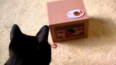 Suukye & Poppy vs Coin Stealing Cat Bank