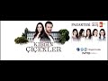 K谋rg谋n 莽i莽ekler Kader Vers 2 K谋rg谋n 莽i莽ekler Kader Vers 2