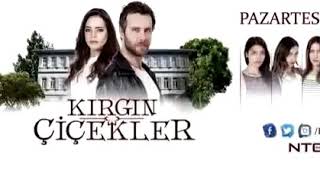 Kırgın çiçekler - kader vers 2 Resimi