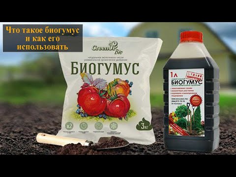 Что такое биогумус и как его использовать