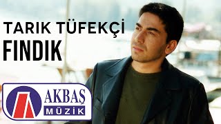 Tarık Tüfekçi | Fındık Resimi