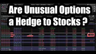 Are Unusual Options a Hedge to Stocks?